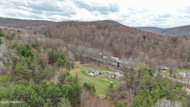 birds eye view of property with a wooded view and a mountain view
