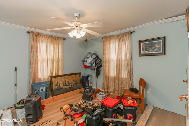 bedroom with ceiling fan, wood finished floors, and crown molding