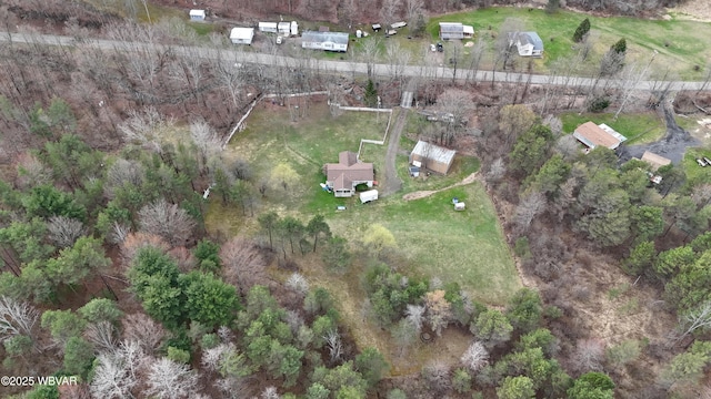 bird's eye view