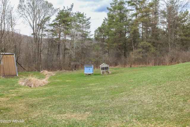 view of yard with an outbuilding and a wooded view