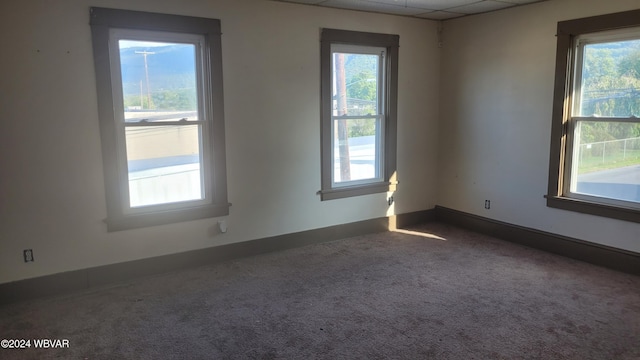 unfurnished room with a paneled ceiling, a wealth of natural light, and carpet floors