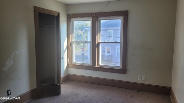 interior space featuring light colored carpet and a closet