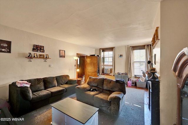 522 Long Run Rd, Mill Hall, PA 17751 - photo 3