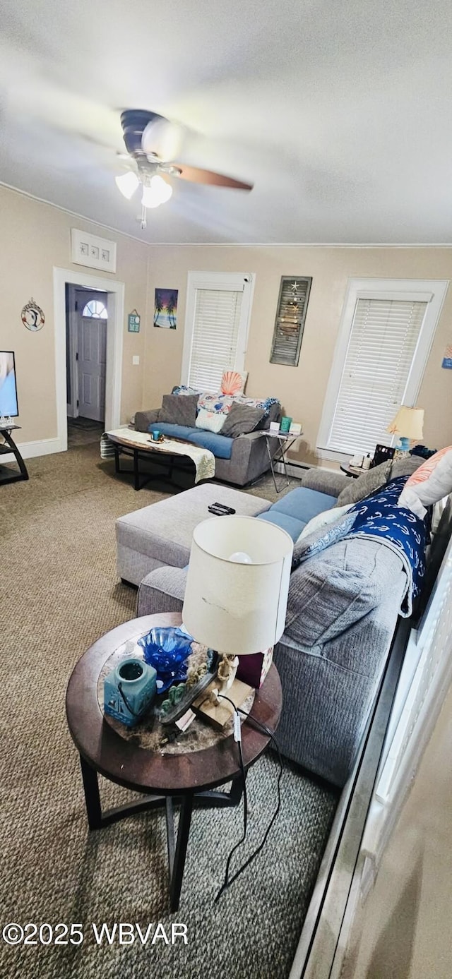 103 Lower Market St, Milton, PA 17847 - carpeted living room featuring a ceiling fan and baseboards
