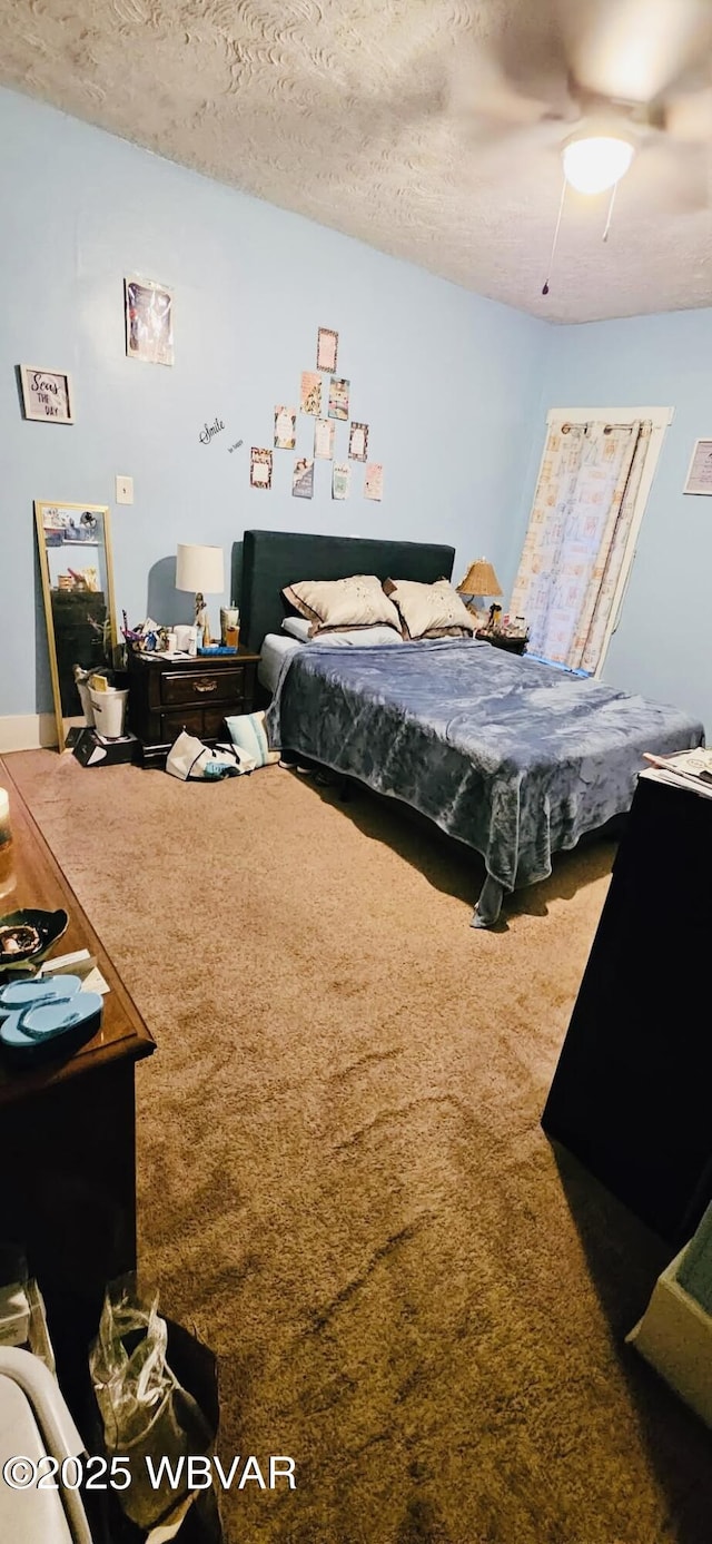 103 Lower Market St, Milton, PA 17847 - bedroom with carpet flooring, a textured ceiling, and ceiling fan