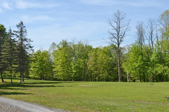 189 Dog Farm Rd, Dushore, PA 18614 - photo 72