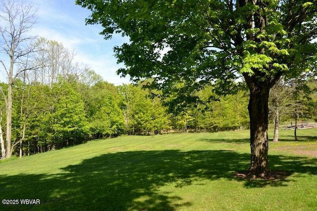 189 Dog Farm Rd, Dushore, PA 18614 - photo 65