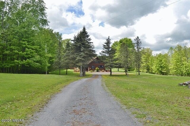 189 Dog Farm Rd, Dushore, PA 18614 - photo 75