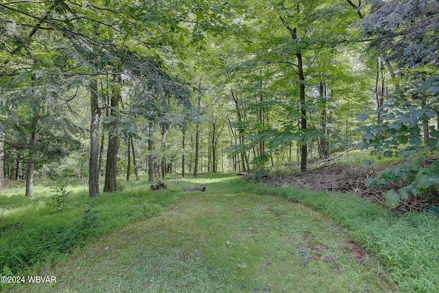 view of nature featuring a view of trees