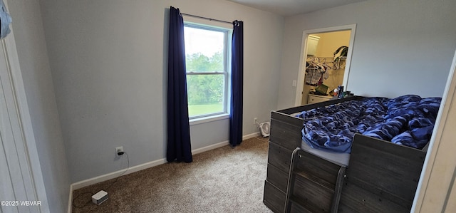 250 Mclaughlin Rd, Milton, PA 17847 - bedroom featuring multiple windows, carpet flooring, baseboards, and a walk in closet