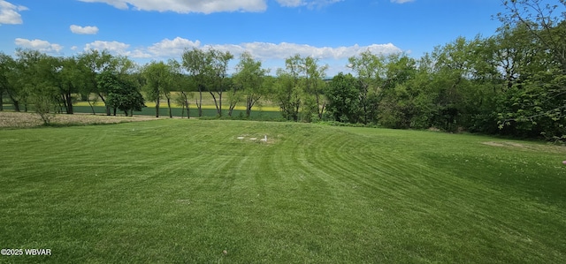 250 Mclaughlin Rd, Milton, PA 17847 - view of grassy yard