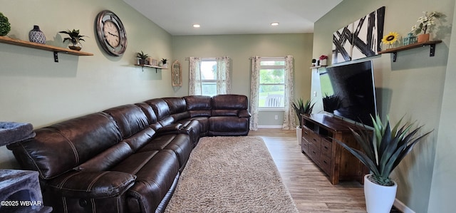 250 Mclaughlin Rd, Milton, PA 17847 - living area with light wood-style flooring, recessed lighting, and baseboards