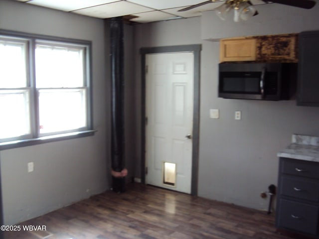 kitchen featuring plenty of natural light, stainless steel microwave, a ceiling fan, and dark wood finished floors