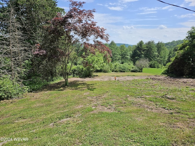 1669 Dauber Rd, Cogan Station PA, 17728 land for sale