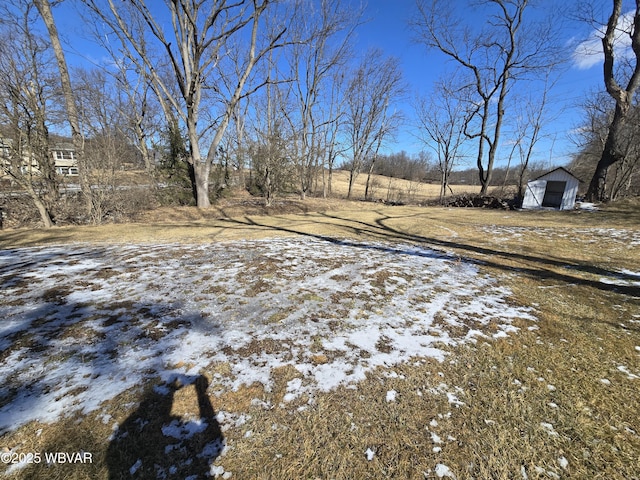 view of snowy yard