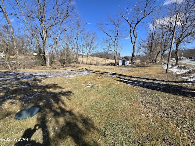 view of yard with a shed