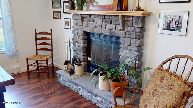interior space featuring baseboards, wood finished floors, a fireplace, and a baseboard radiator