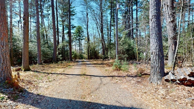 view of road with a forest view