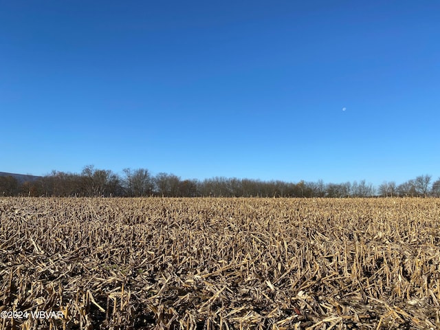 0 Pond Rd, Pennsdale, PA 17756
