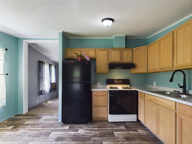 kitchen featuring sink, black fridge, white stove, and dark wood-type flooring