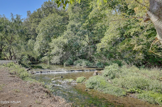 view of local wilderness with a water view