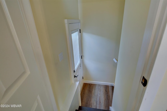 stairway with wood-type flooring