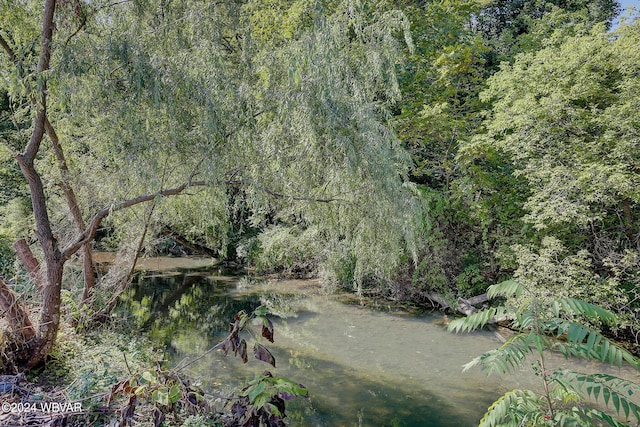 view of landscape