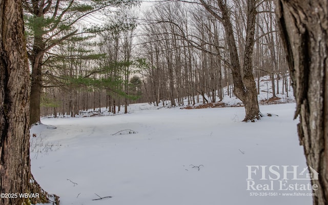 view of yard layered in snow