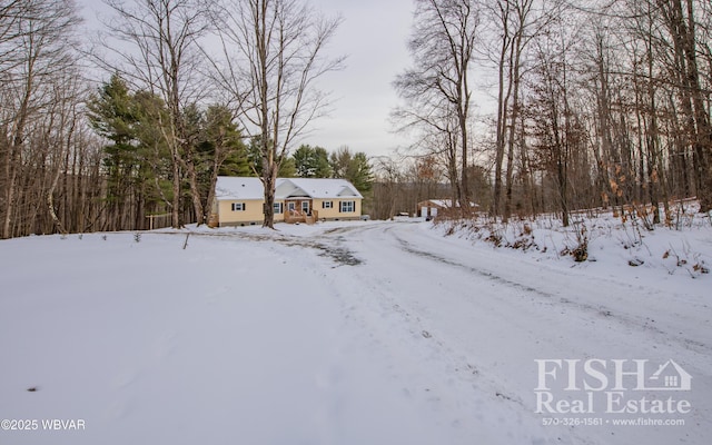 view of yard covered in snow