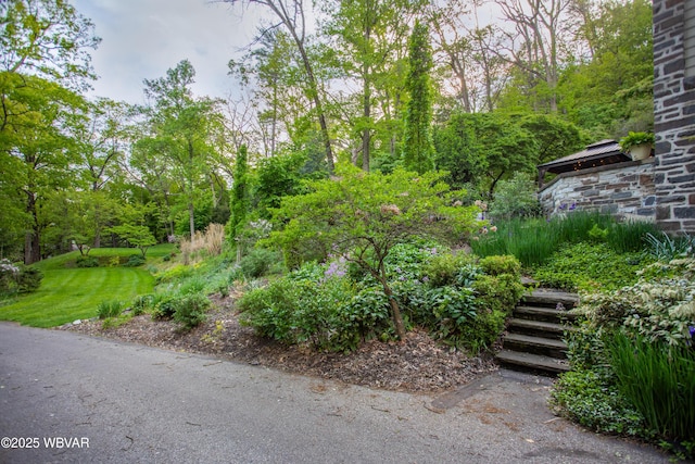 860 Vallamont Dr, Williamsport, PA 17701 - photo 6