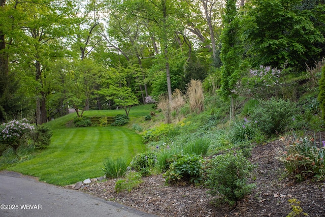 860 Vallamont Dr, Williamsport, PA 17701 - photo 7