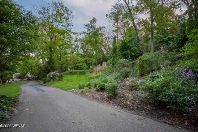 860 Vallamont Dr, Williamsport, PA 17701 - photo 8