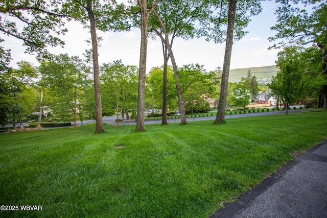 860 Vallamont Dr, Williamsport, PA 17701 - photo 10