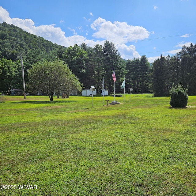 173 Grasso Ln, English Center, PA 17776 - photo 12