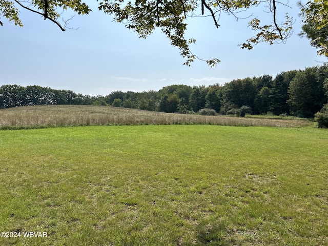 view of yard with a rural view