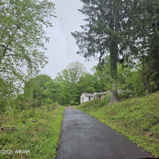 11228 Ridge Rd, Renovo, PA 17764 - photo 2