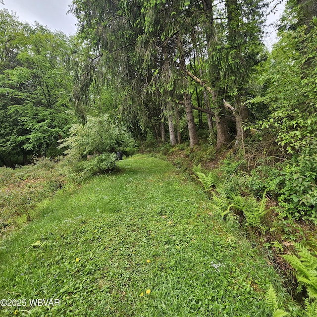 11228 Ridge Rd, Renovo, PA 17764 - photo 26