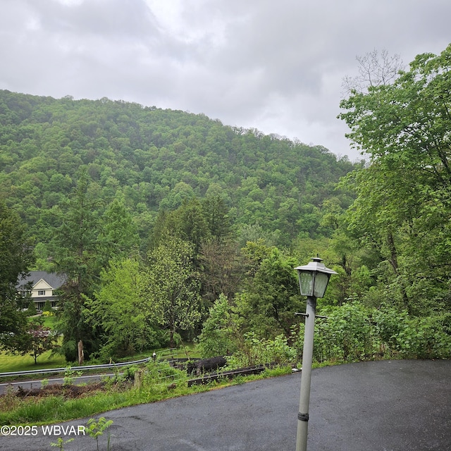 11228 Ridge Rd, Renovo, PA 17764 - photo 7