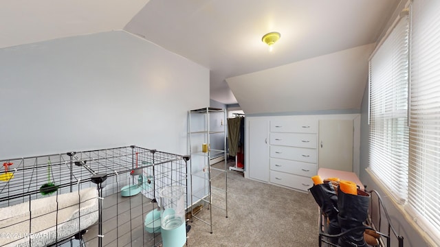 carpeted bedroom with vaulted ceiling