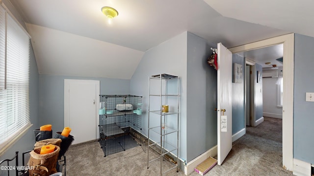 bathroom featuring a wealth of natural light and lofted ceiling