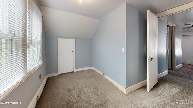 bonus room featuring carpet flooring and vaulted ceiling