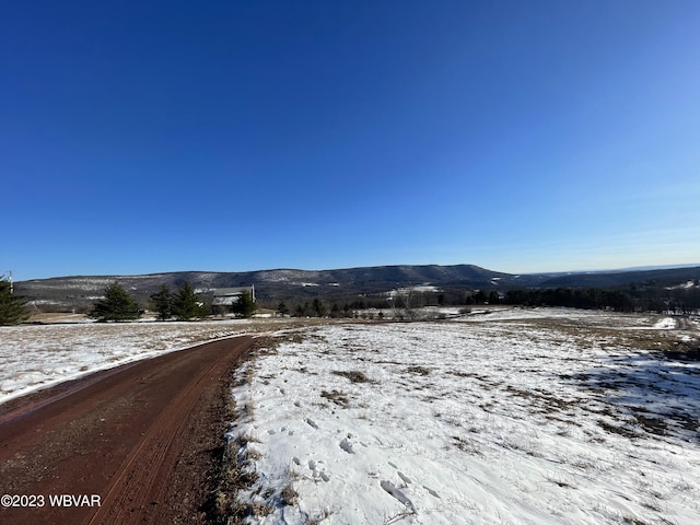 PARCEL001 Fairman Rd, Muncy Valley, PA 17758 - photo 6