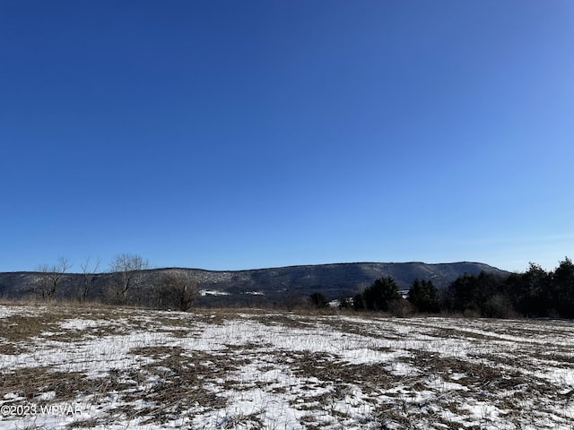 PARCEL001 Fairman Rd, Muncy Valley, PA 17758 - photo 5