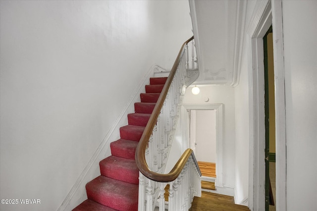 330 High St, Williamsport, PA 17701 - stairs with wood finished floors