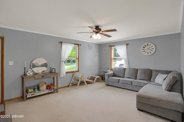 262 Walnut Ln, Jersey Shore, PA 17740 - living room with crown molding, ceiling fan, healthy amount of natural light, carpet flooring, and baseboards