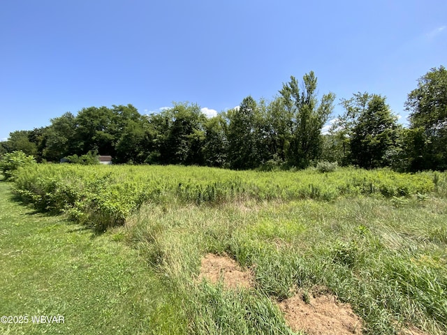 103A E Summit St, Avis, PA 17721 - photo 4