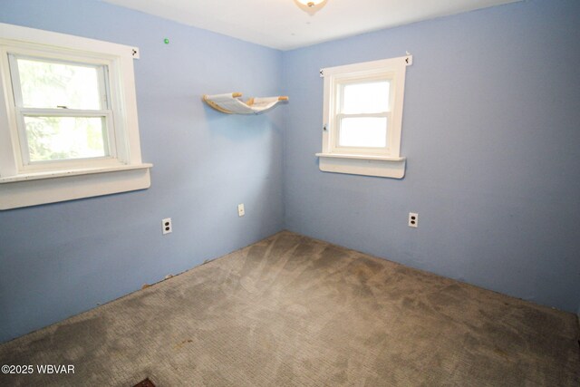816 Wilson St, Williamsport, PA 17701 - photo 11