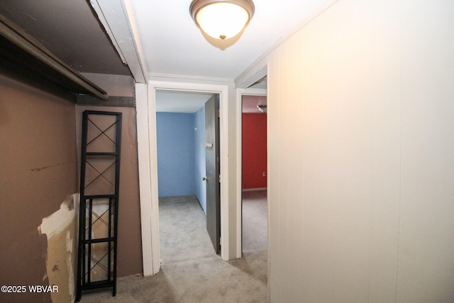 816 Wilson St, Williamsport, PA 17701 - photo 14