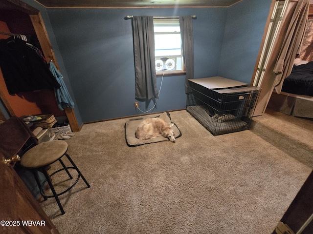 bedroom featuring carpet floors
