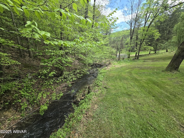 view of green lawn
